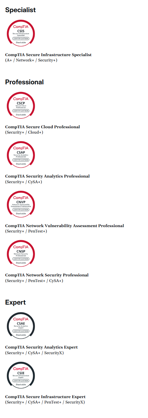 Cybersecurity Career Pathway.png